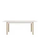 ESSEX TAFEL 160 X 80 X 77 CM