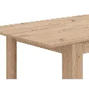 NORWAY TAFEL  120 X 80 X 76 CM