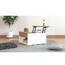 DEVON TABLE DE SALON  80 X 80 X 45 CM